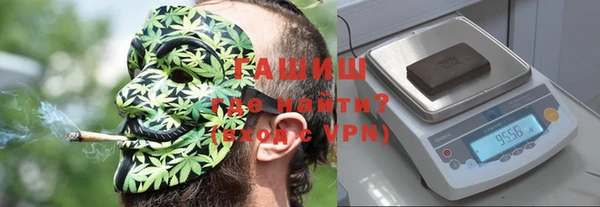 индика Пересвет
