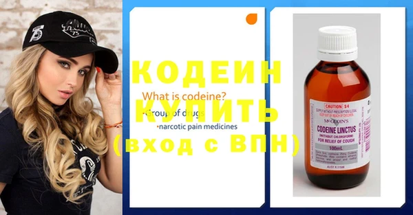 хмурый Пестово