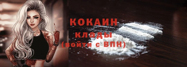 индика Пересвет