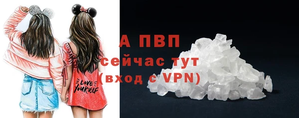 хмурый Пестово