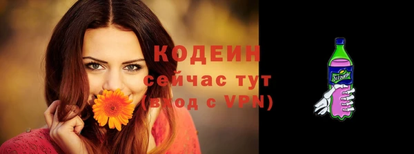 индика Пересвет