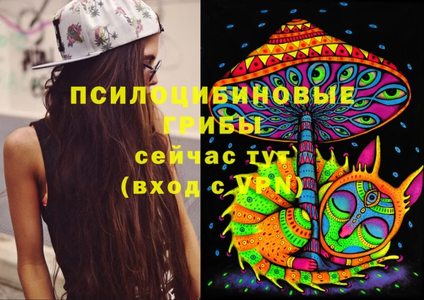твердый Переславль-Залесский