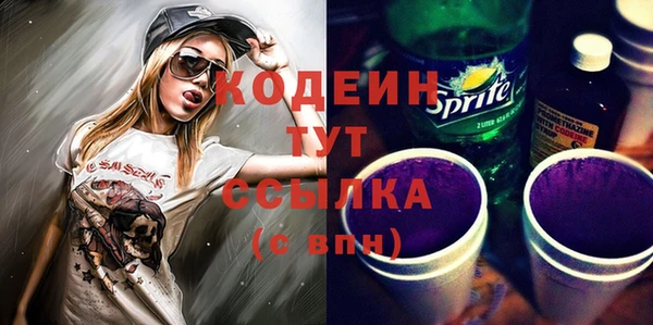индика Пересвет