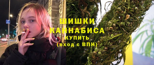 хмурый Пестово