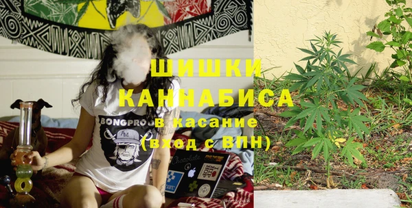 индика Пересвет