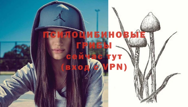 индика Пересвет