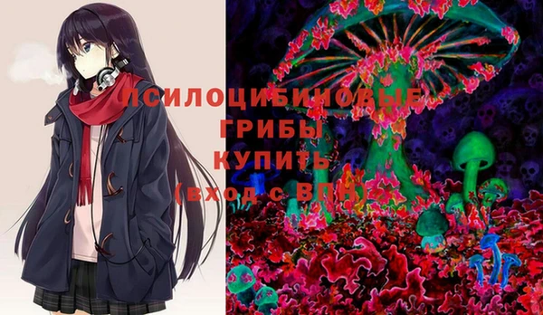 индика Пересвет