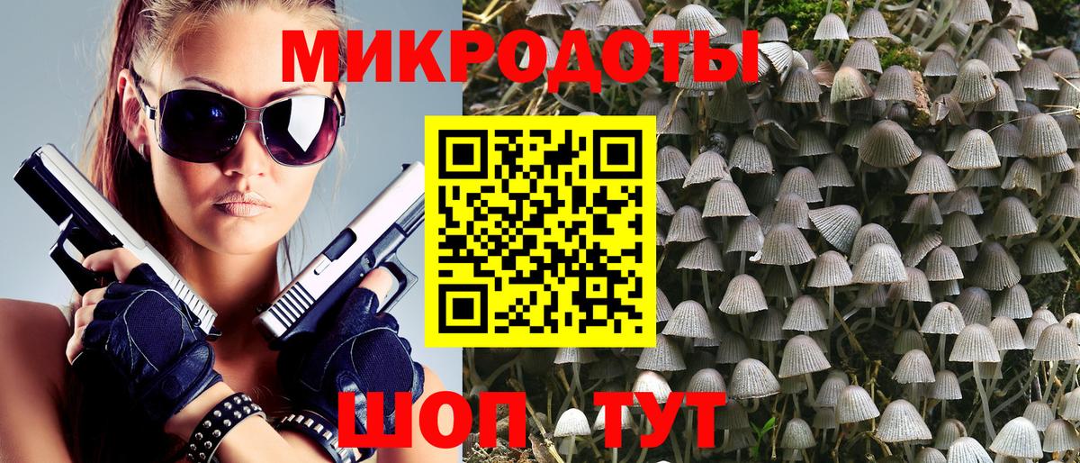 Галлюциногенные грибы Psilocybe Печора