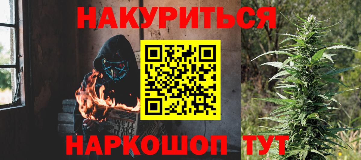Канабис сатива Печора